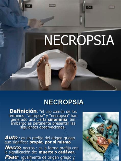 6 Necropsia Autopsia Pdf Anatomía Anatomía Humana