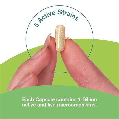 Buy Premium Bio Cultures Complex Capsules Months Supply High Strength Probiotic