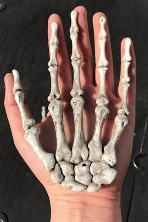 SKELETON HAND PROP in 2020 | Skeleton hands, Halloween party decor