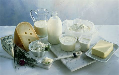 Assortment Of Dairy Products Stock Image H1101259 Science Photo
