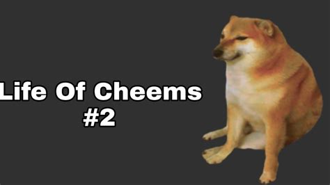CuỘc ĐỜi CỦa Cheems 2 Life Of Cheems Youtube
