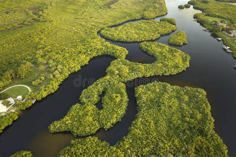 Overhead View Of Everglades Swamp With Green Vegetation Between Water