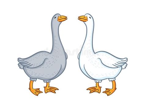 Two Geese Standing Next To Each Other With Their Beaks Open Royalty