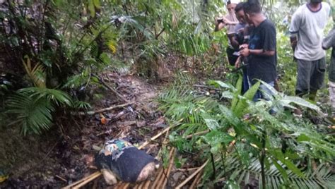 Mayat Wanita Ditemukan Di Hutan Dalam Posisi Sujud Tanpa Busana