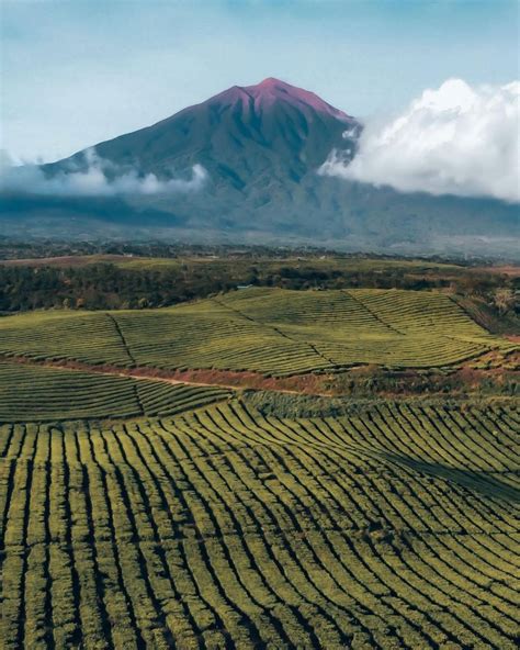 Fakta Gunung Kerinci Wajib Diketahui Sebelum Ke Sumatra