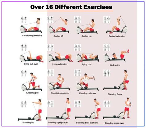 7 Advantages Of Rowing Machine Exercise 2022 Exercise Information
