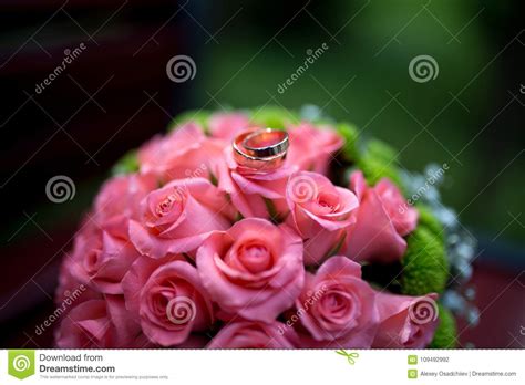 Pink Roses And Rings Stock Photo Image Of Bridal Jewel 109492992