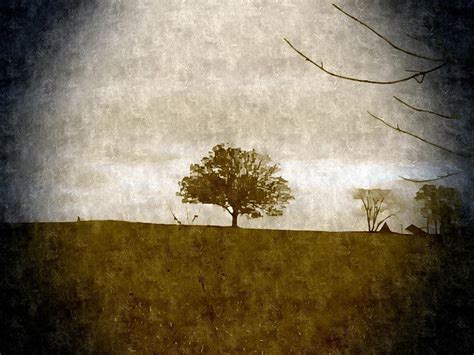 Faded Tree Photograph By Michael L Kimble Fine Art America