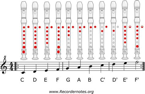 🥇silent Night Recorder Notes Learn To Play It Recorder Notes