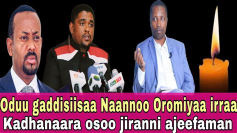 Oduu Afaan Oromoo Guyyaa Haraa Bbcafaanoromoovoaafaanoromoo Youtube