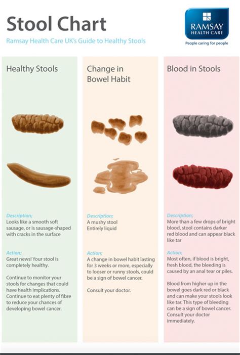 Bowel Cancer Symptoms Black Stool Could Be A Sign What A Healthy Poo