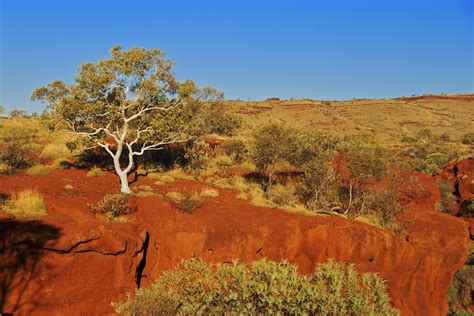 Bushwalk In Australias Outback Global Medical Staffing Blog