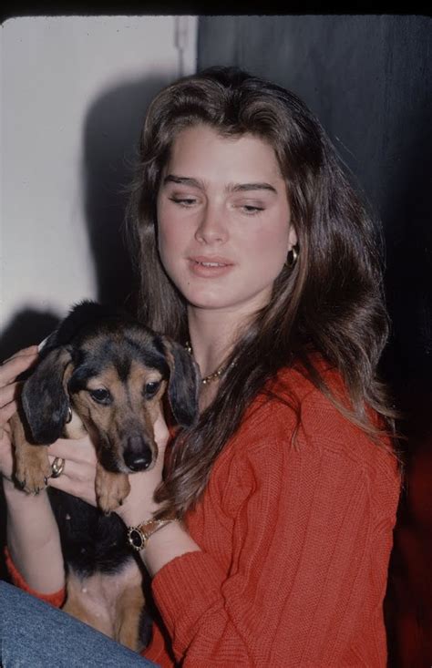 Brooke Shields Brooke Shields 80s Brooke Shields Brooke Shields Young