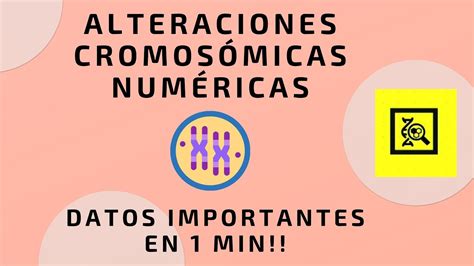 Alteraciones CromosÓmicas NumÉricas Datos Importantes Genetopics Youtube