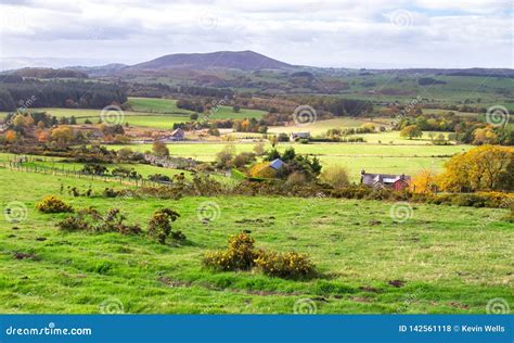 Rural Farmland In Shropshire England Stock Photo Image Of Live