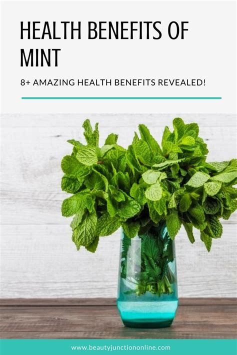 Discover The Best Health Benefits Of Mint Mint Leaves Benefits Mint