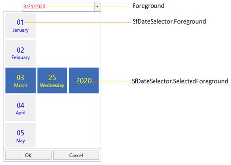 Appearance In WPF DatePicker Control Syncfusion