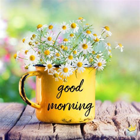 A Yellow Mug With Daisies In It That Says Good Morning
