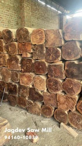 Teak Wood Logs At Rs 1700cubic Feet Teak Logs In Sirsa Id 23142668473
