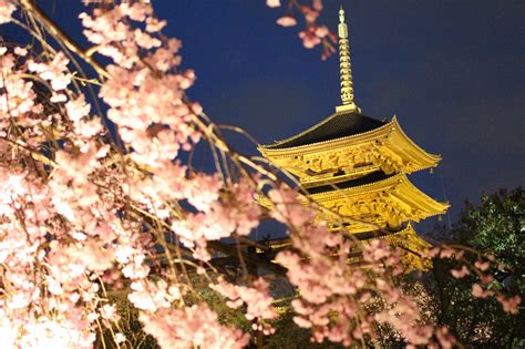 Best Places To See Cherry Blossoms In Kyoto Japan Web Magazine