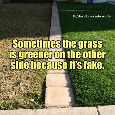 The grass is always greener. Sometimes Grass Is Greener On The Other Side Because Its Fake Pictures, Photos, and Images for ...
