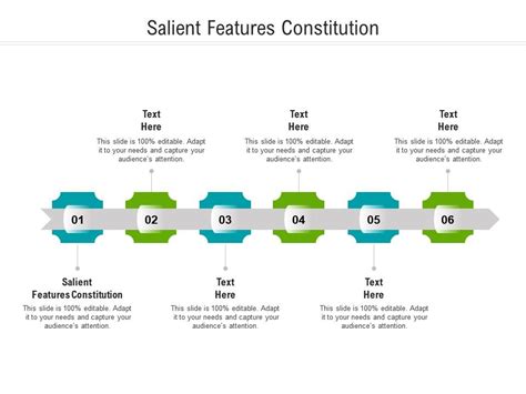 Salient Features Constitution Ppt Powerpoint Presentation Professional