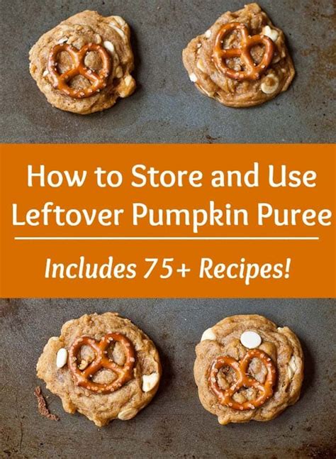 Stir extra pumpkin into your morning oatmeal with a pinch of cinnamon, nutmeg and brown sugar. 70+ Pumpkin Puree Recipes {How To Store & Use a Can of ...