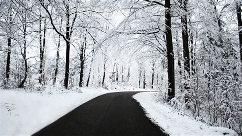 Online Crop Road And Trees Nature Winter Snow Road Hd Wallpaper