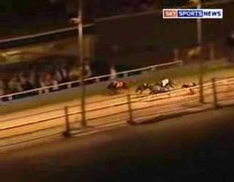 Medias and tweets on ofknockamillie ( westmead hawk ) ' s twitter profile. Westmead Hawk Greyhound Derby Final 2006 - YouTube