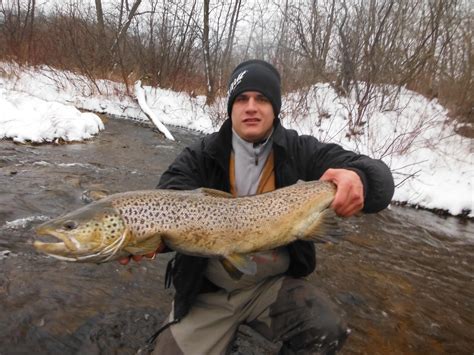 Fly Fishing Upper Peninsula Michigan Fishing Gallery