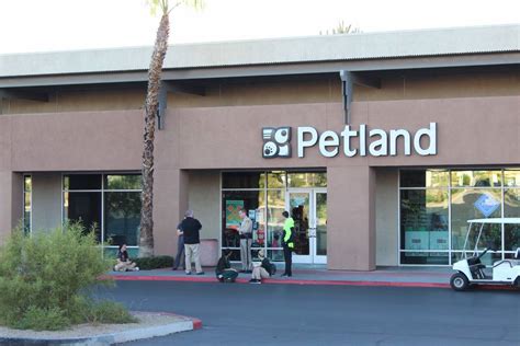 Maybe you would like to learn more about one of these? Las Vegas pet store owner fears for safety of stolen puppies | Las Vegas Review-Journal