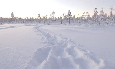 6 Reasons To Explore The Winter Landscapes Of Levi Finland Wanderlust