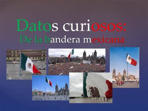 Los perros tienen más de 220 millones de papilas olfativas y usan el 40% de su cerebro en el olfato. Datos curiosos de la Bandera Mexicana - YouTube