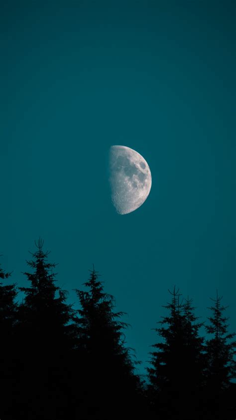 Moon Wallpaper For Iphone 11 Pro Max X 8 7 6 Free Download On