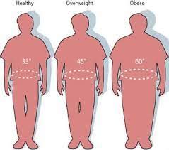 Can You Be Overweight And Healthy