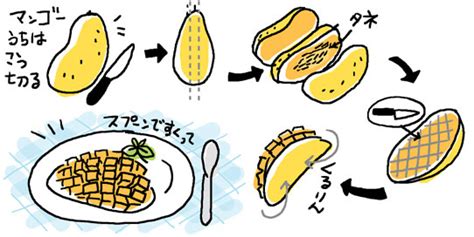 4:54 kindai university 39 960 просмотров. マンゴーの切り方 - Patra Ichida @ Blog