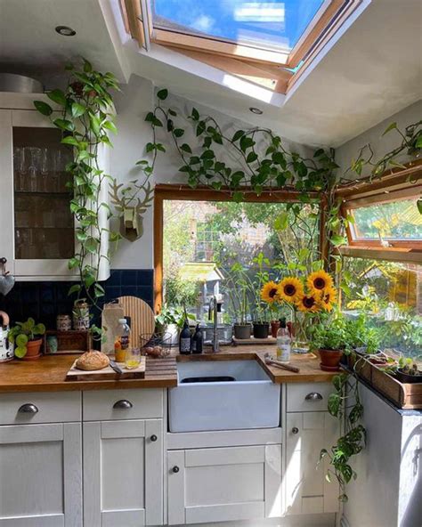 10 Beautiful Ways To Decorate Your Kitchen With Plants Advutils