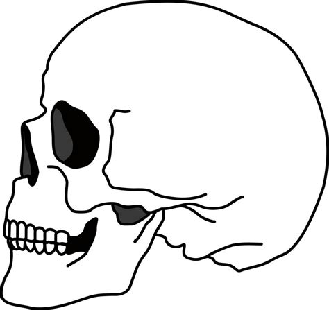 Skull Bone Face Side View Skull Icon Black And White Cartoon Smiling
