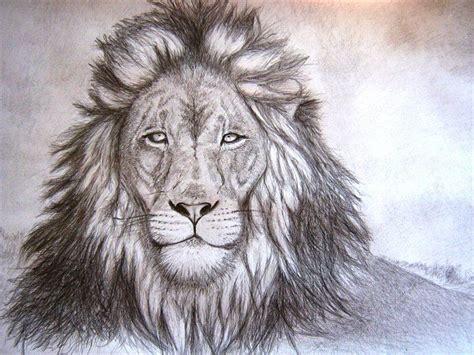 It is professionally scanned and. lion drawing | Lion drawing, Face pencil drawing, Drawings