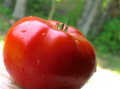 What's the optimal soil ph for tomatoes? Top Secret Tips on How to Grow The Best Tomatoes - La ...