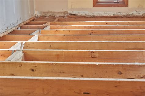What Is A Floor Joist Meaningkosh