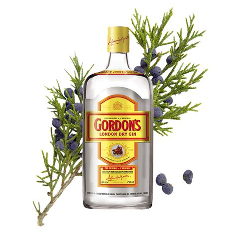 15 Best Gin Brands 2019 What Gin Bottles To Buy Right Now