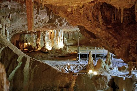 Jenolan Caves, Blue Mountains, Australia | Jenolan Caves | Jenolan caves, Limestone caves, Cave