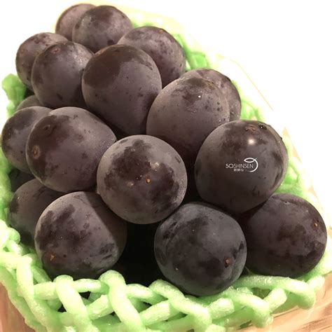 Seasonal Japanese Kyoho Seedless Grapes 300 To 400g Soshinsen