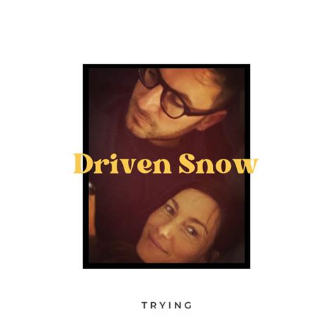 Trying Song And Lyrics By Driven Snow Spotify