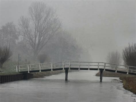 Mist In De Delftse Hout Explore 397 Gerard Stolk Flickr
