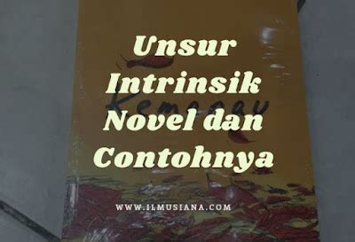 Unsur Intrinsik Novel Dan Contoh Lengkap