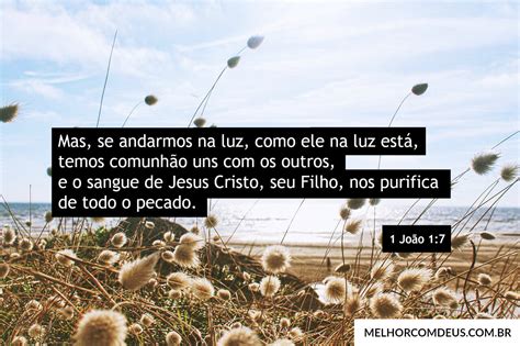 O Sangue De Jesus Nos Purifica De Todo Pecado Versículo