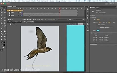 Animate A Bird Flying Adobe Animate Cc Tutorial