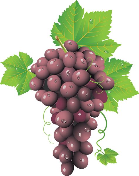 Grapes clipart angoor, Grapes angoor Transparent FREE for ...